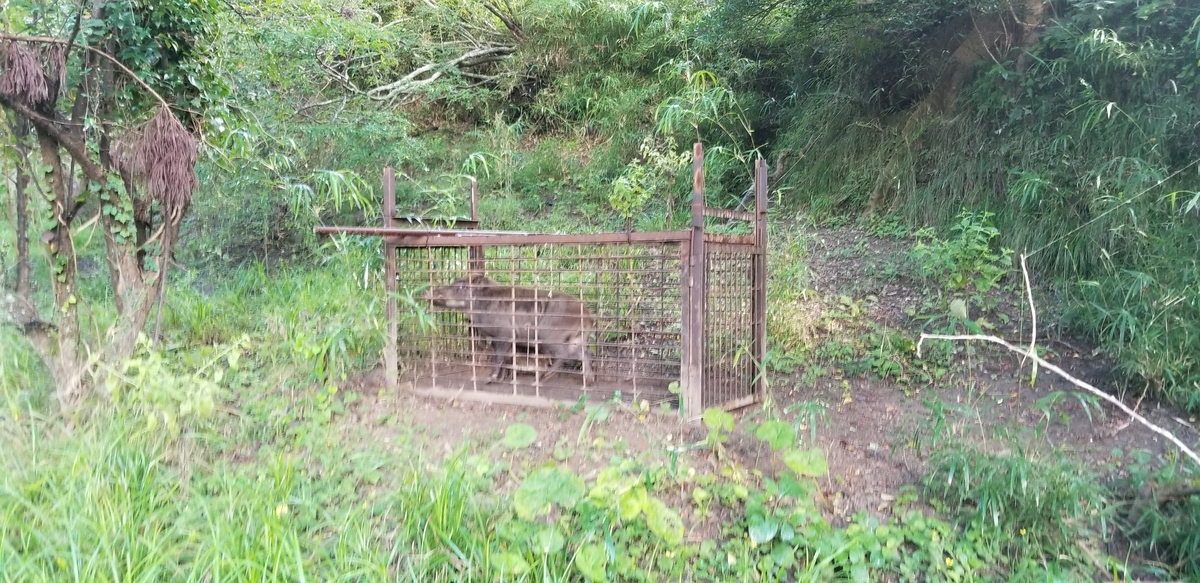 f:id:sututenten:20200829122948j:plain