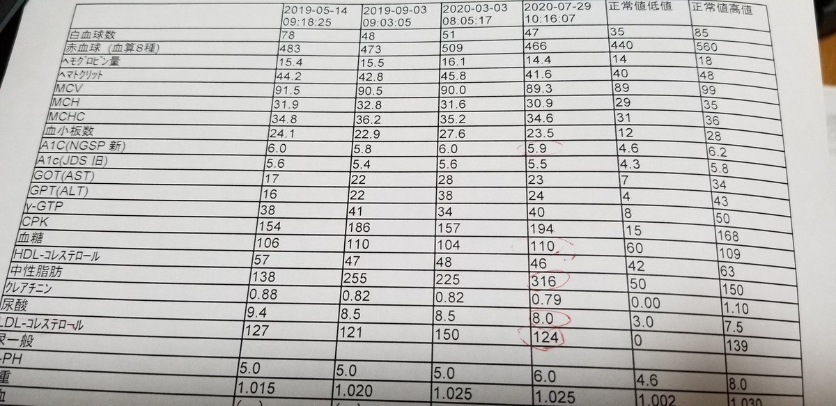 f:id:sututenten:20200831130210j:plain