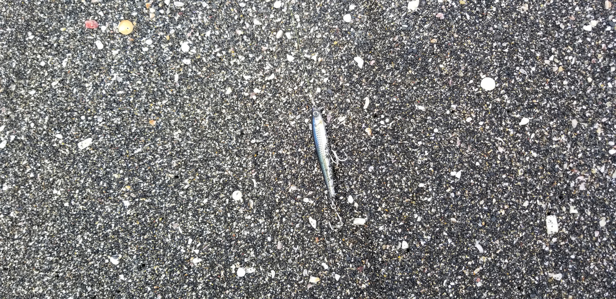 f:id:sututenten:20201006163829j:plain