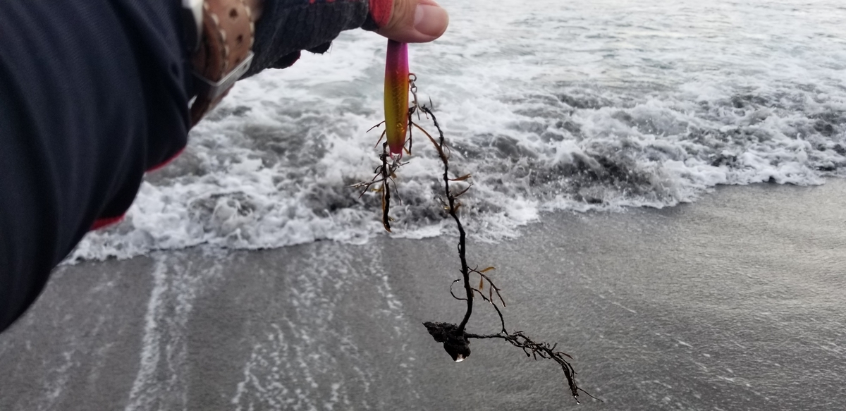 f:id:sututenten:20201006164647j:plain