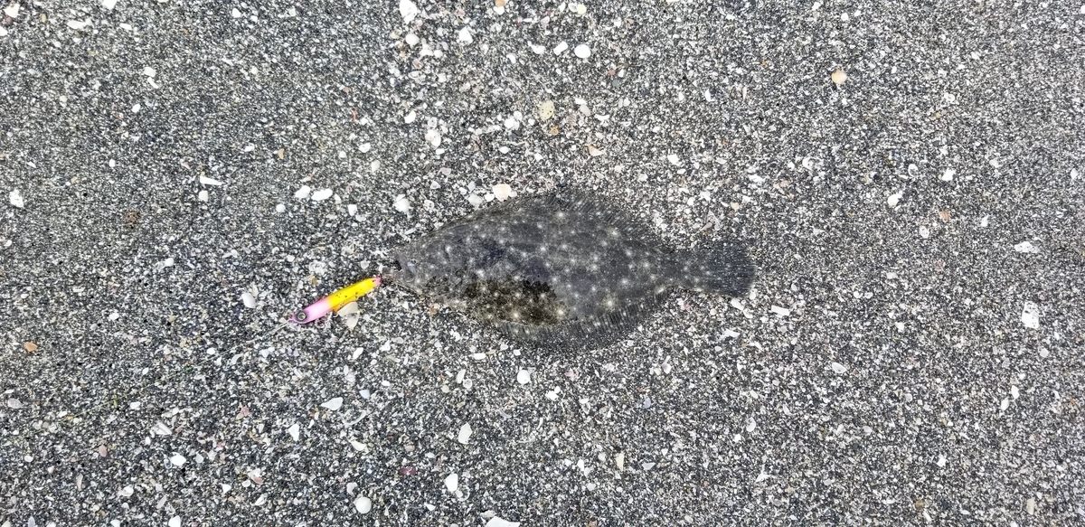 f:id:sututenten:20201006165056j:plain