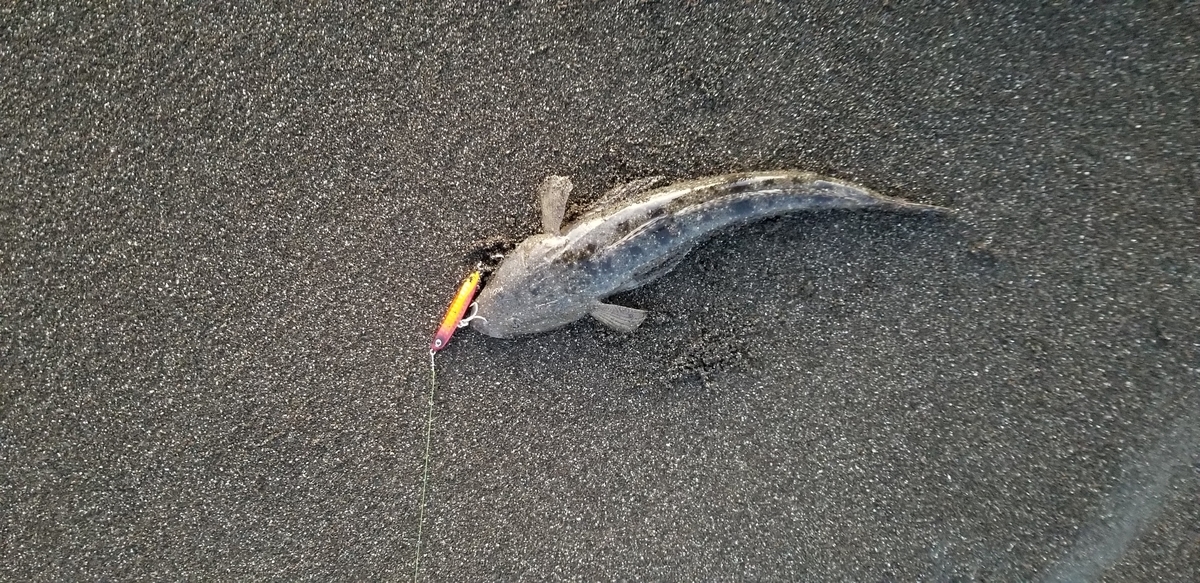 f:id:sututenten:20201025192119j:plain