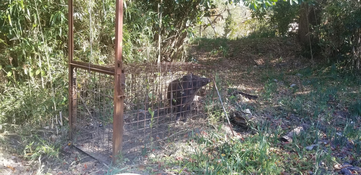 f:id:sututenten:20201110153449j:plain