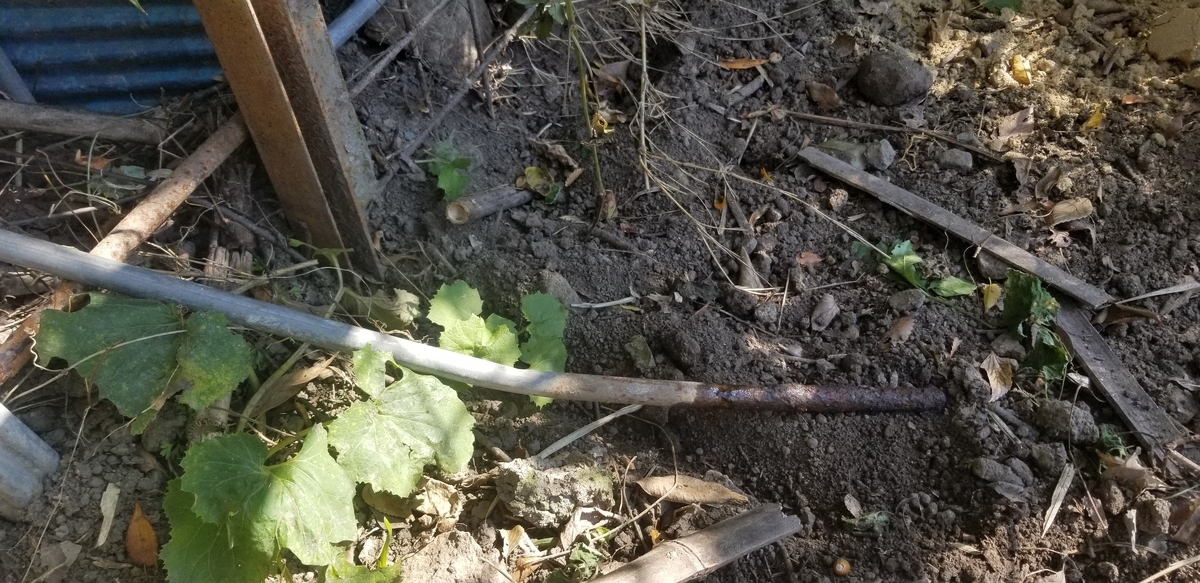 f:id:sututenten:20201110153649j:plain