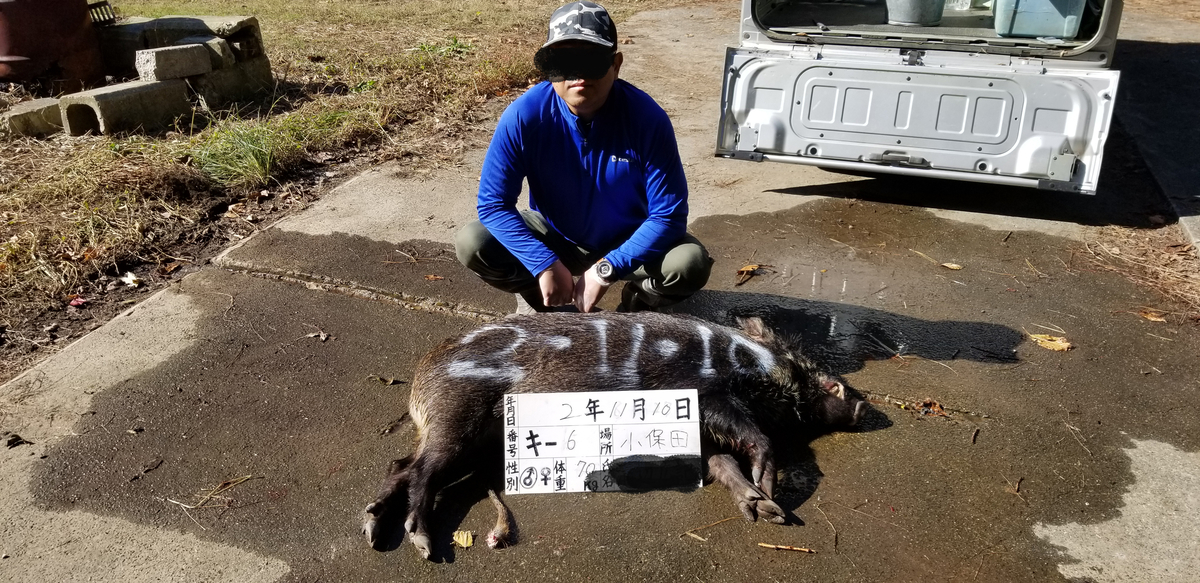 f:id:sututenten:20201110155332j:plain