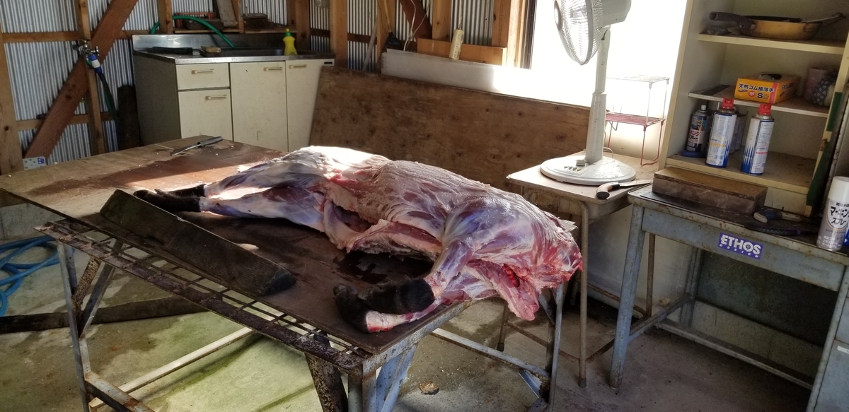 f:id:sututenten:20201110162132j:plain