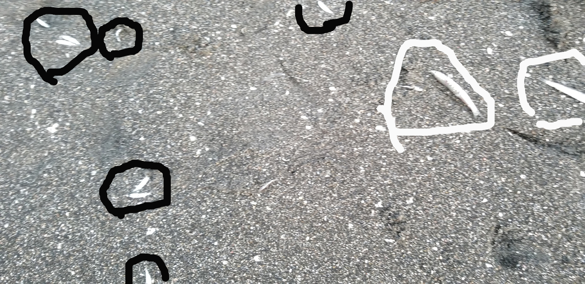 f:id:sututenten:20210416094228j:plain