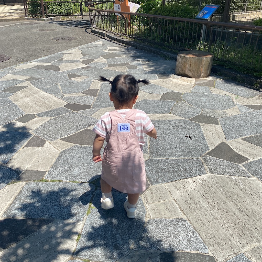 f:id:suu125:20220510120713j:image f:id:suu125:20220510120713j:image