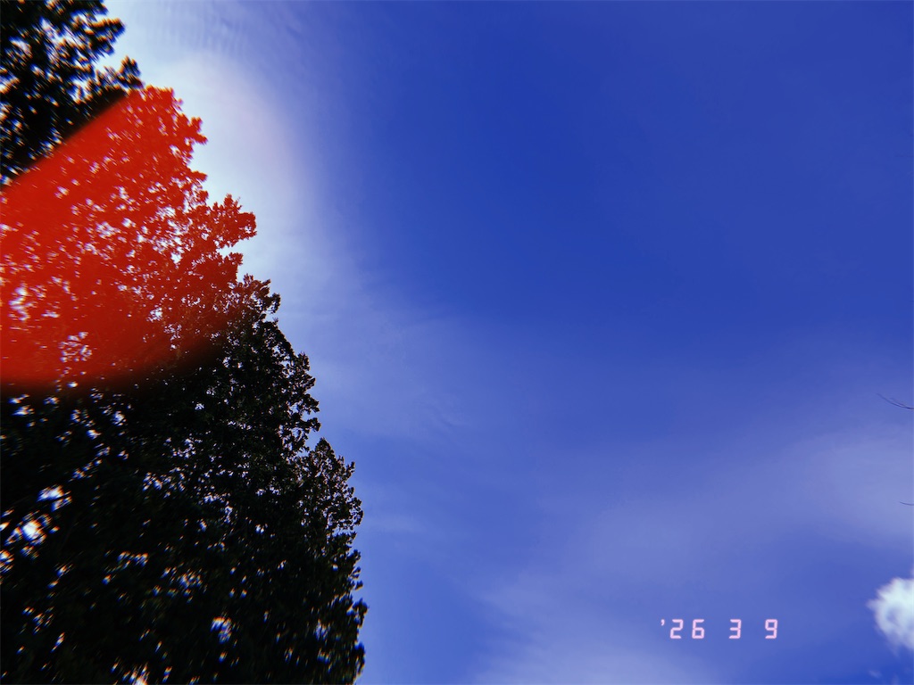 f:id:suu__sans:20260313192433j:image f:id:suu__sans:20260313192433j:image