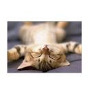 f:id:suumo_reform:20190904152627j:plain f:id:suumo_reform:20190904152627j:plain