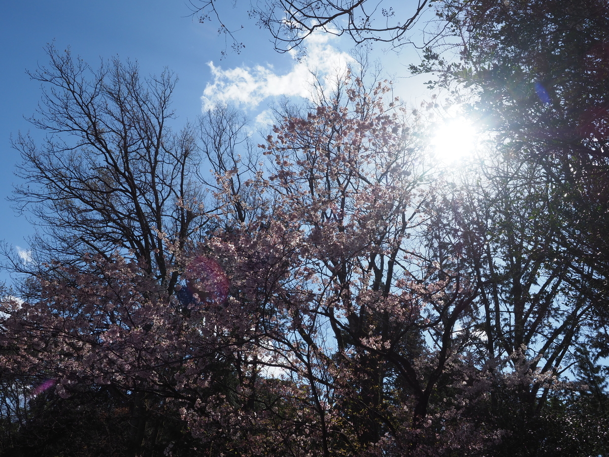f:id:suumo_west:20200321133640j:plain