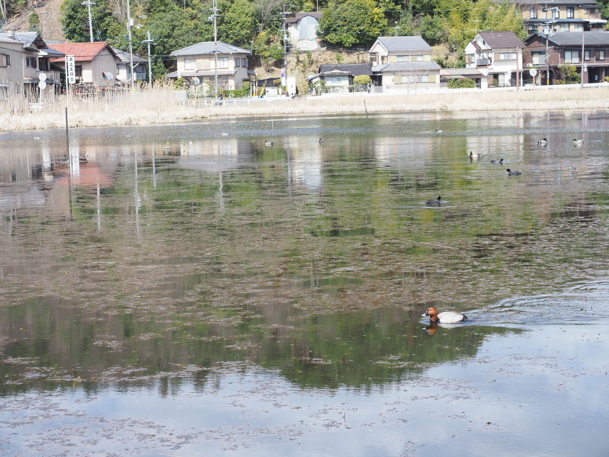 f:id:suumo_west:20200321135406j:plain