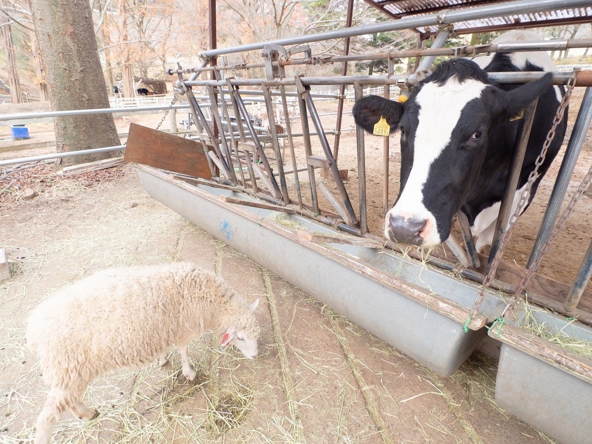 f:id:suumo_west:20201230143105j:plain