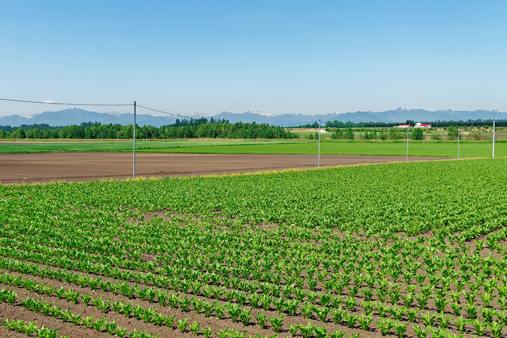 農地イメージ