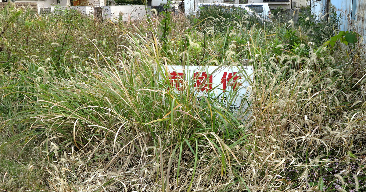 売れない土地の特徴とは？　よくある売れない理由とその対処法を徹底解説