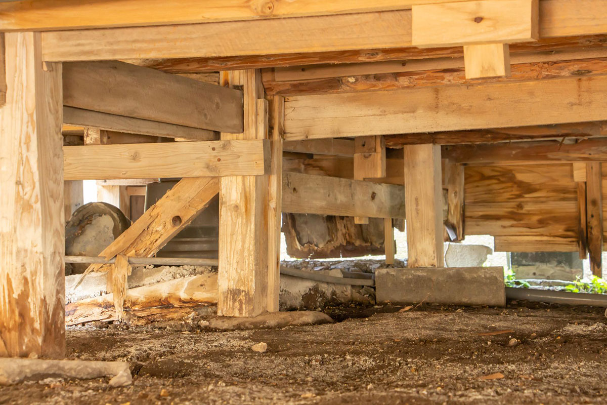 シロアリの食害による損傷が激しい木造住宅の基礎部分