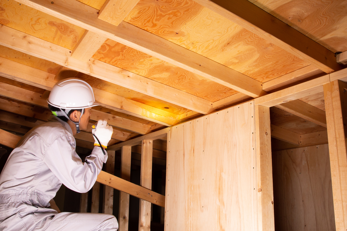 インスペクションの様子