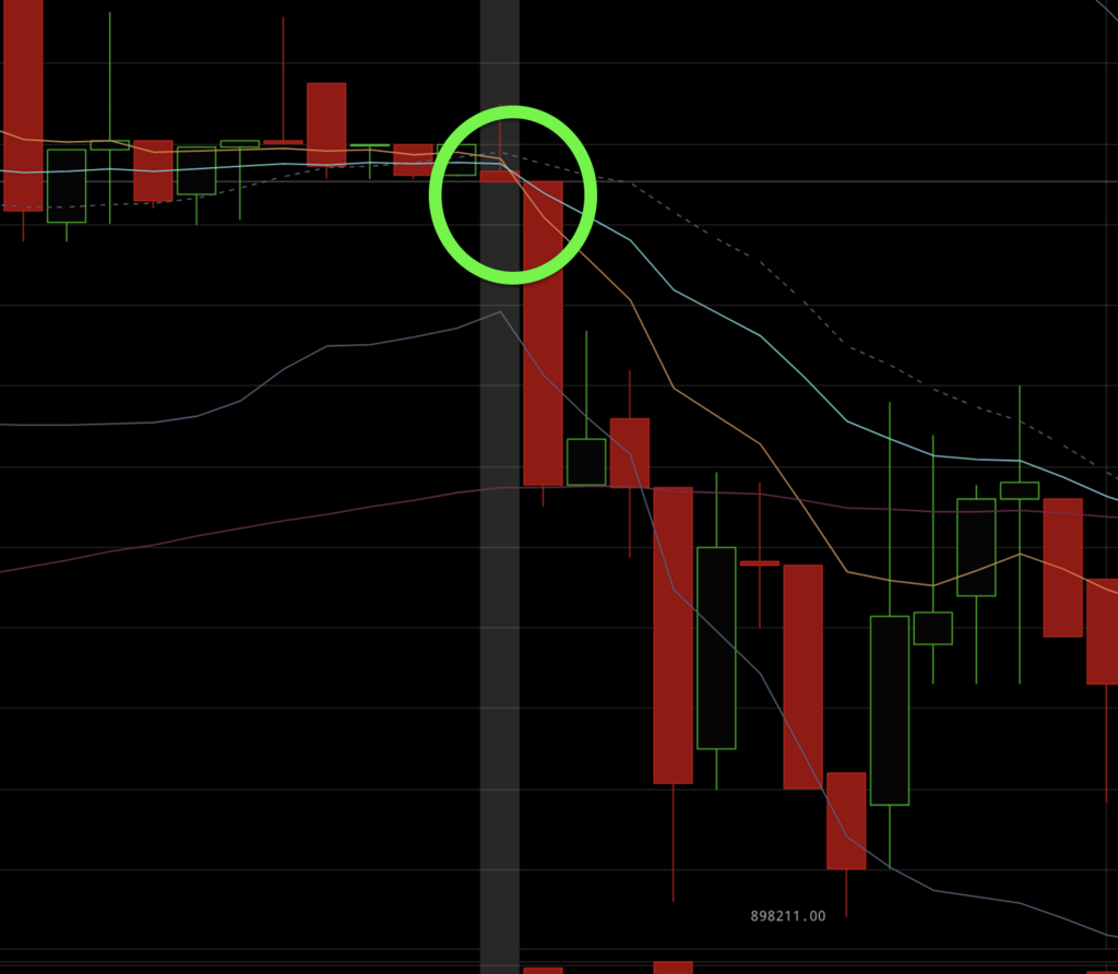 ２週間で300万達成させたGMOコインのビットコインFXトレード手法！ - また仮想通貨で高値掴みしてるの？シーズン２