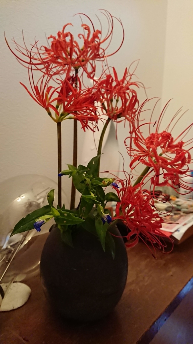 f:id:suushinagai:20190923163413j:plain