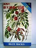 実践的樹木検索小図鑑〈2〉夏 (1980年) (ブルーバックス) 実践的樹木検索小図鑑〈2〉夏 (1980年) (ブルーバックス)