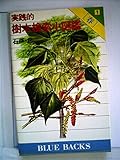 実践的樹木検索小図鑑〈1〉春 (1980年) (ブルーバックス) 実践的樹木検索小図鑑〈1〉春 (1980年) (ブルーバックス)