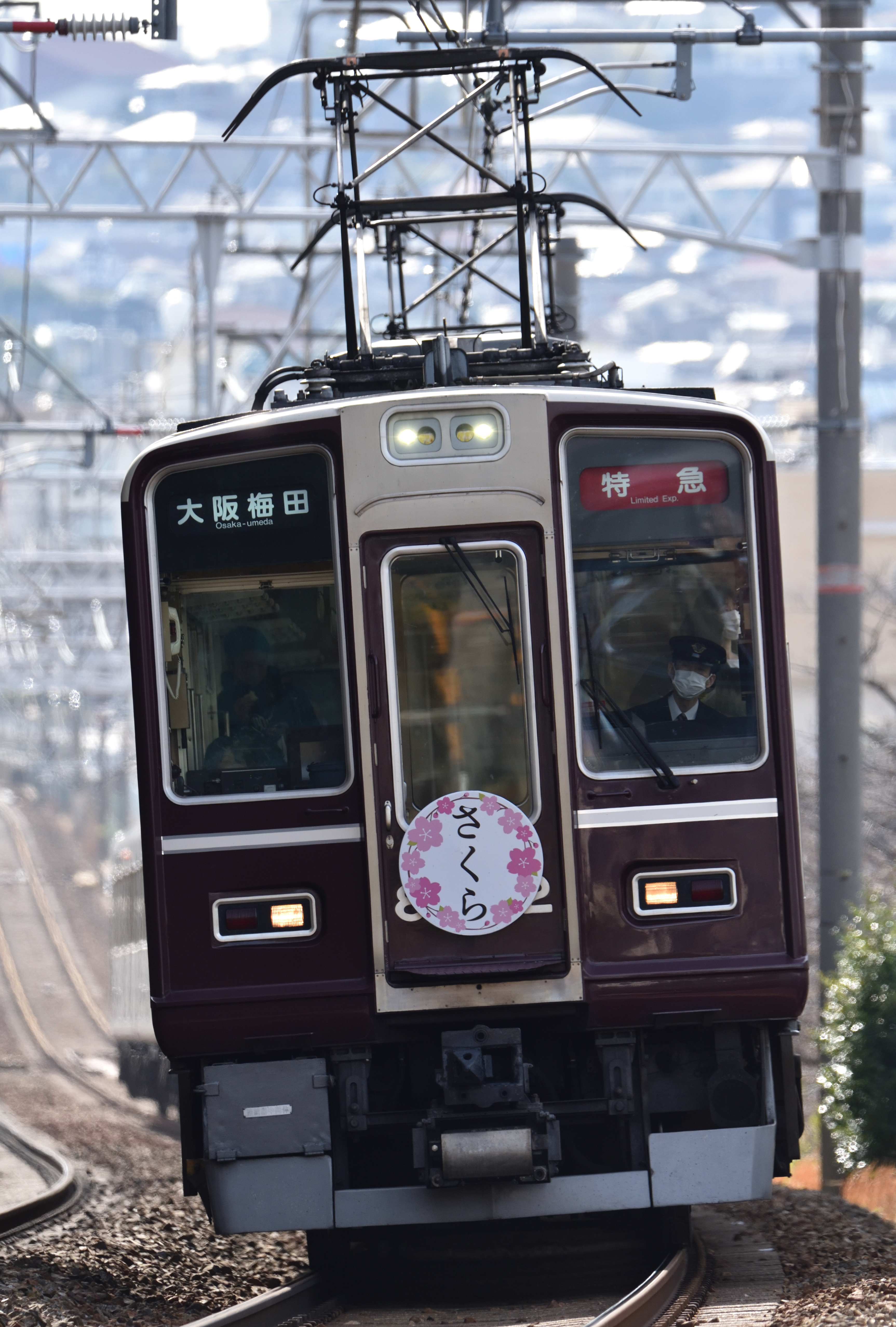 f:id:suwaPon:20220416042221j:image f:id:suwaPon:20220416042221j:image