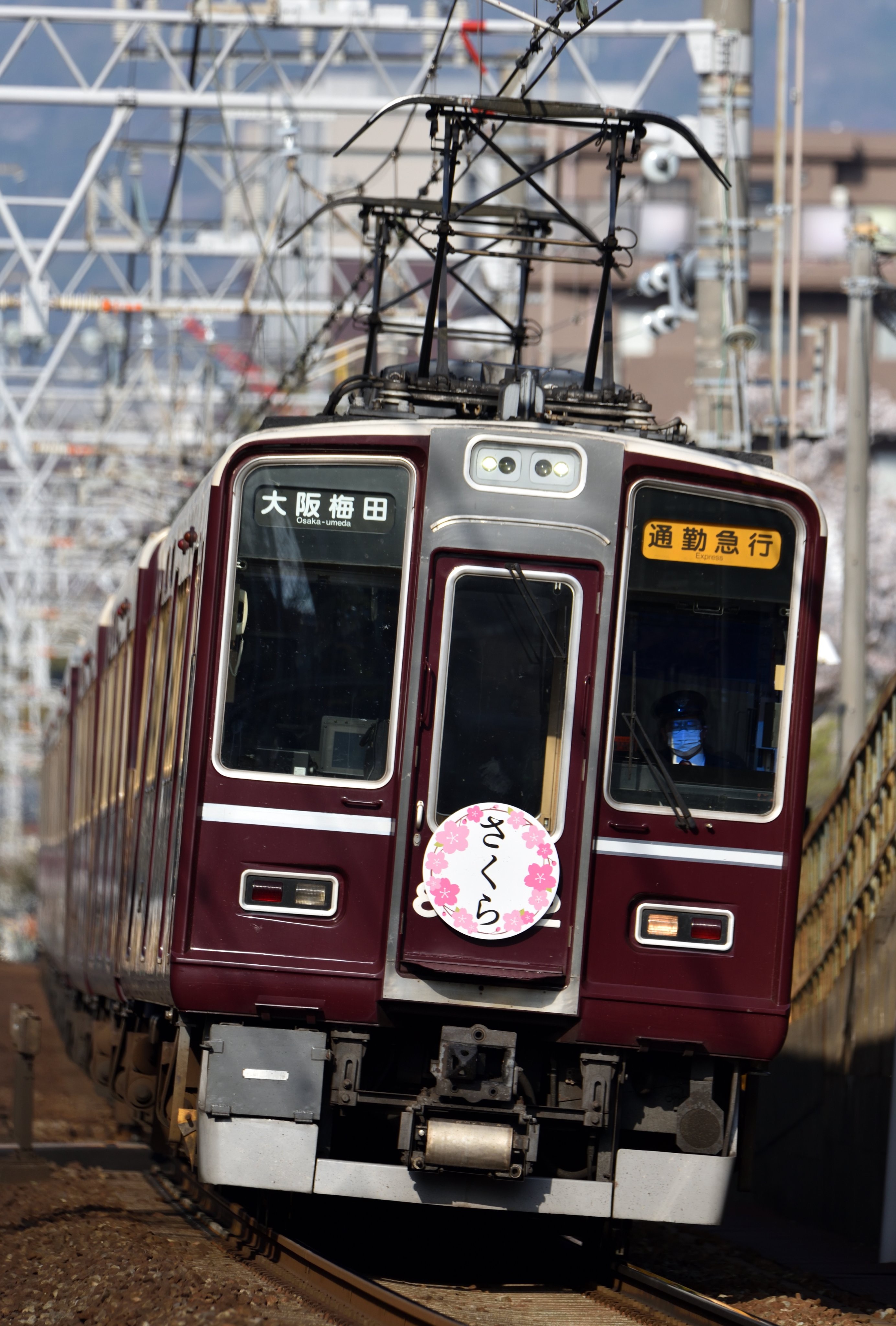 f:id:suwaPon:20220416050013j:image f:id:suwaPon:20220416050013j:image
