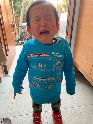 f:id:suwabee:20190220163431j:image f:id:suwabee:20190220163431j:image