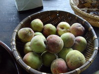 f:id:suwataku:20071010144848j:image f:id:suwataku:20071010144848j:image