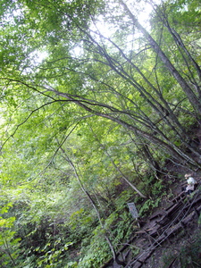 f:id:suwataku:20071016185812j:image f:id:suwataku:20071016185812j:image