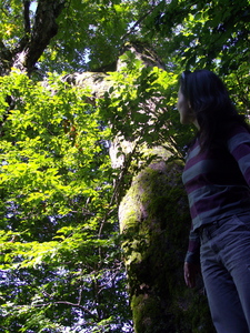 f:id:suwataku:20071018002851j:image f:id:suwataku:20071018002851j:image