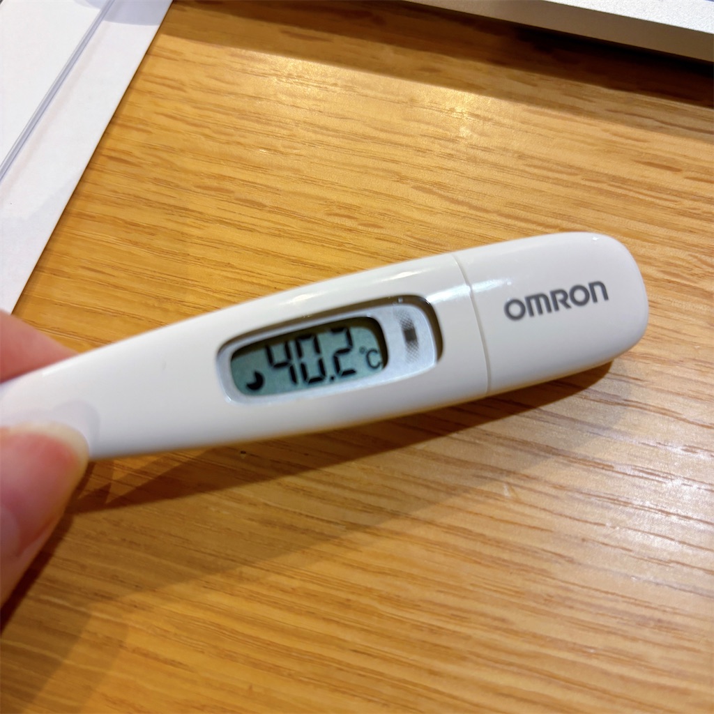 ボロボロの体調で振り返る、我が家の2023年。 - すやこらいふ
