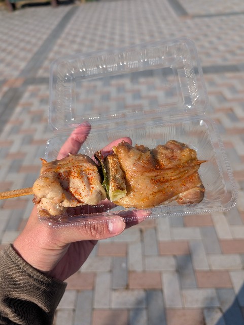 f:id:suyd34:20250611000720j:image