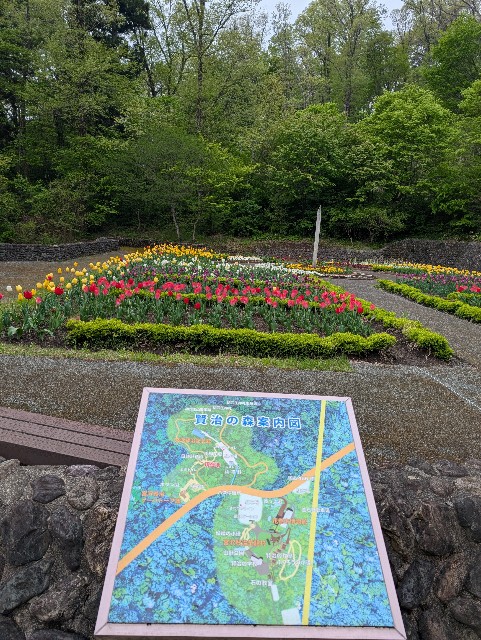 f:id:suyd34:20250611001516j:image