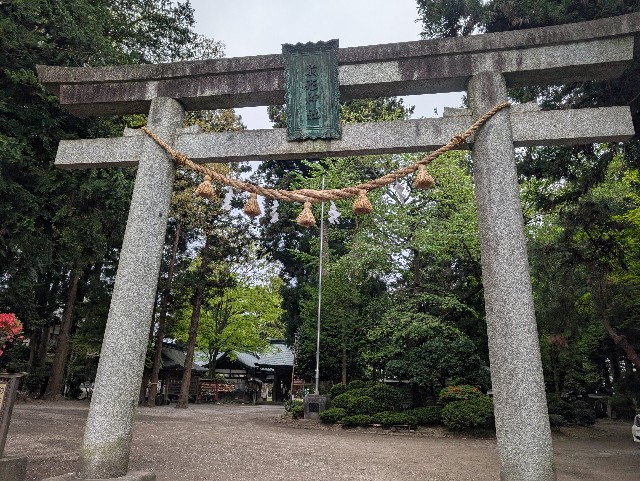 f:id:suyd34:20250611002136j:image