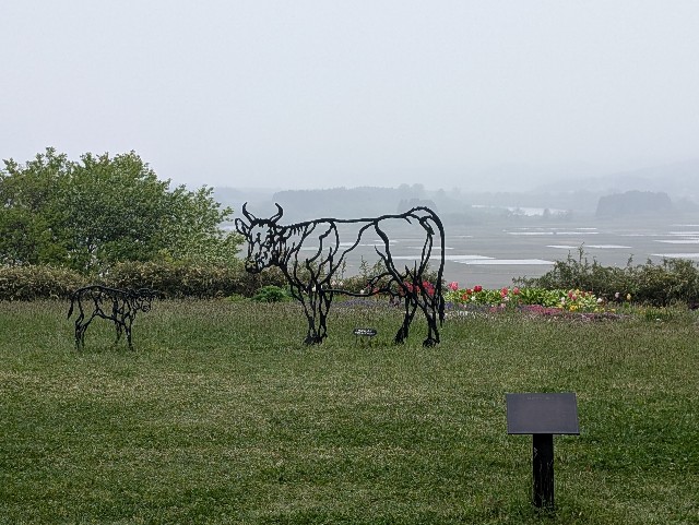 f:id:suyd34:20250611002247j:image