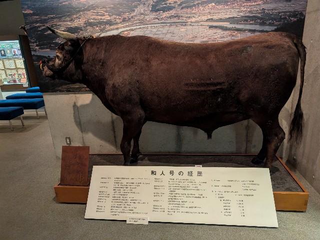 f:id:suyd34:20250611002332j:image