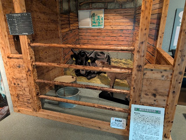 f:id:suyd34:20250611002358j:image