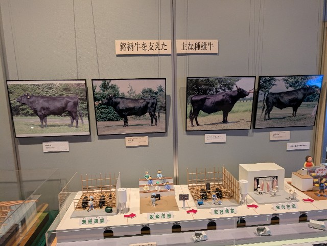 f:id:suyd34:20250611002416j:image