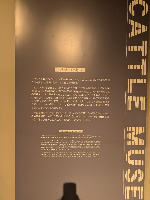 f:id:suyd34:20250611002450j:image