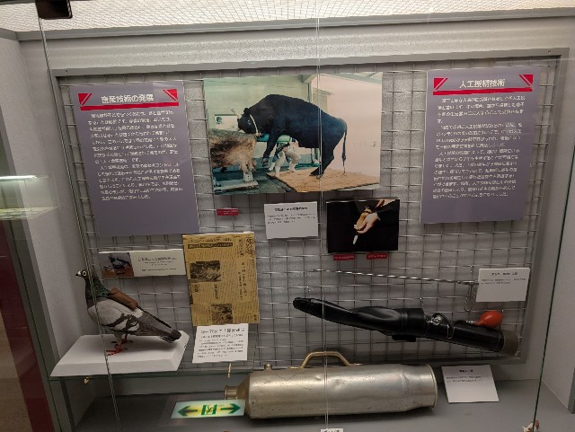 f:id:suyd34:20250611002539j:image