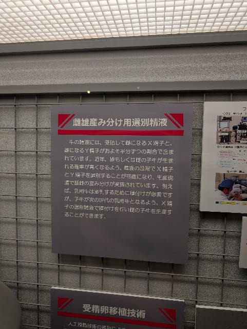 f:id:suyd34:20250611002613j:image