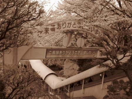 f:id:suyosuyo:20100331172309j:image f:id:suyosuyo:20100331172309j:image
