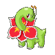 メガニウム