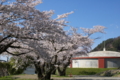 [須坂の桜]坂田町　浄水場