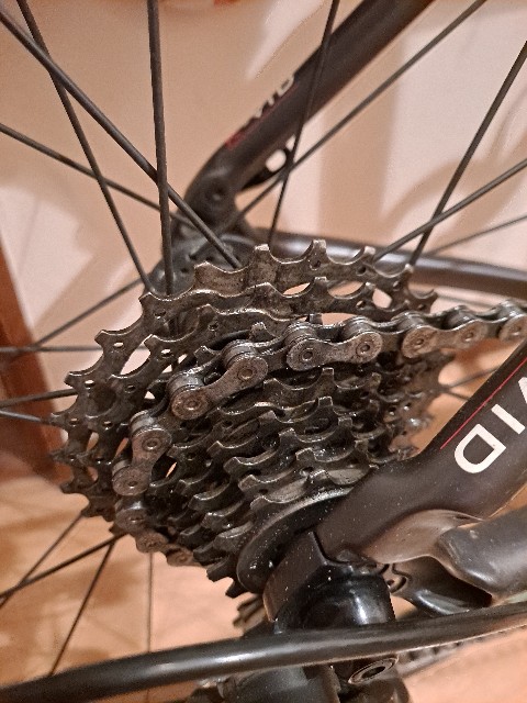 f:id:suzan3756:20220726231258j:image