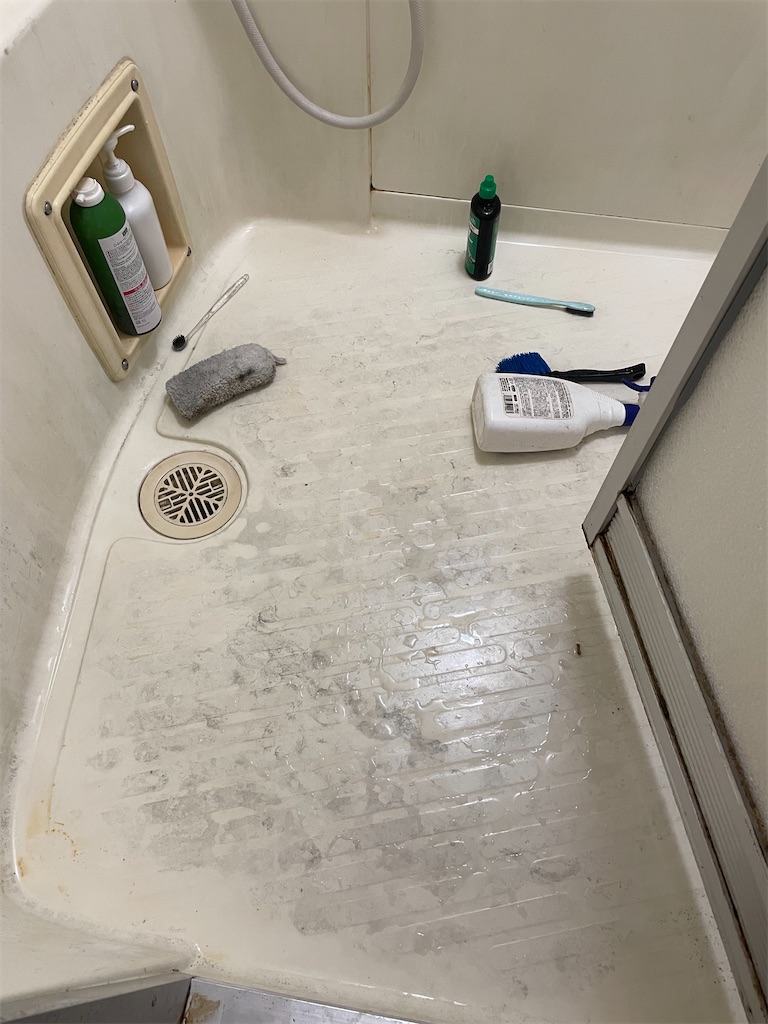 f:id:suzan3756:20230514165103j:image