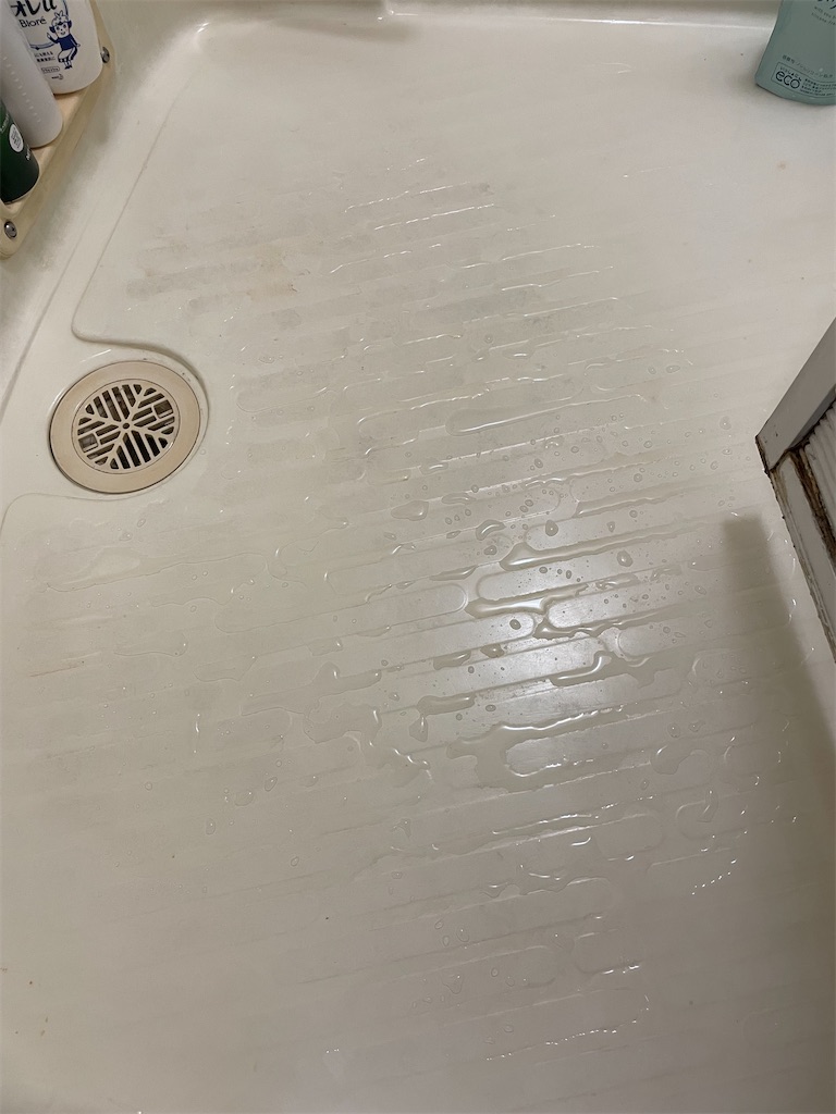 f:id:suzan3756:20230514165306j:image