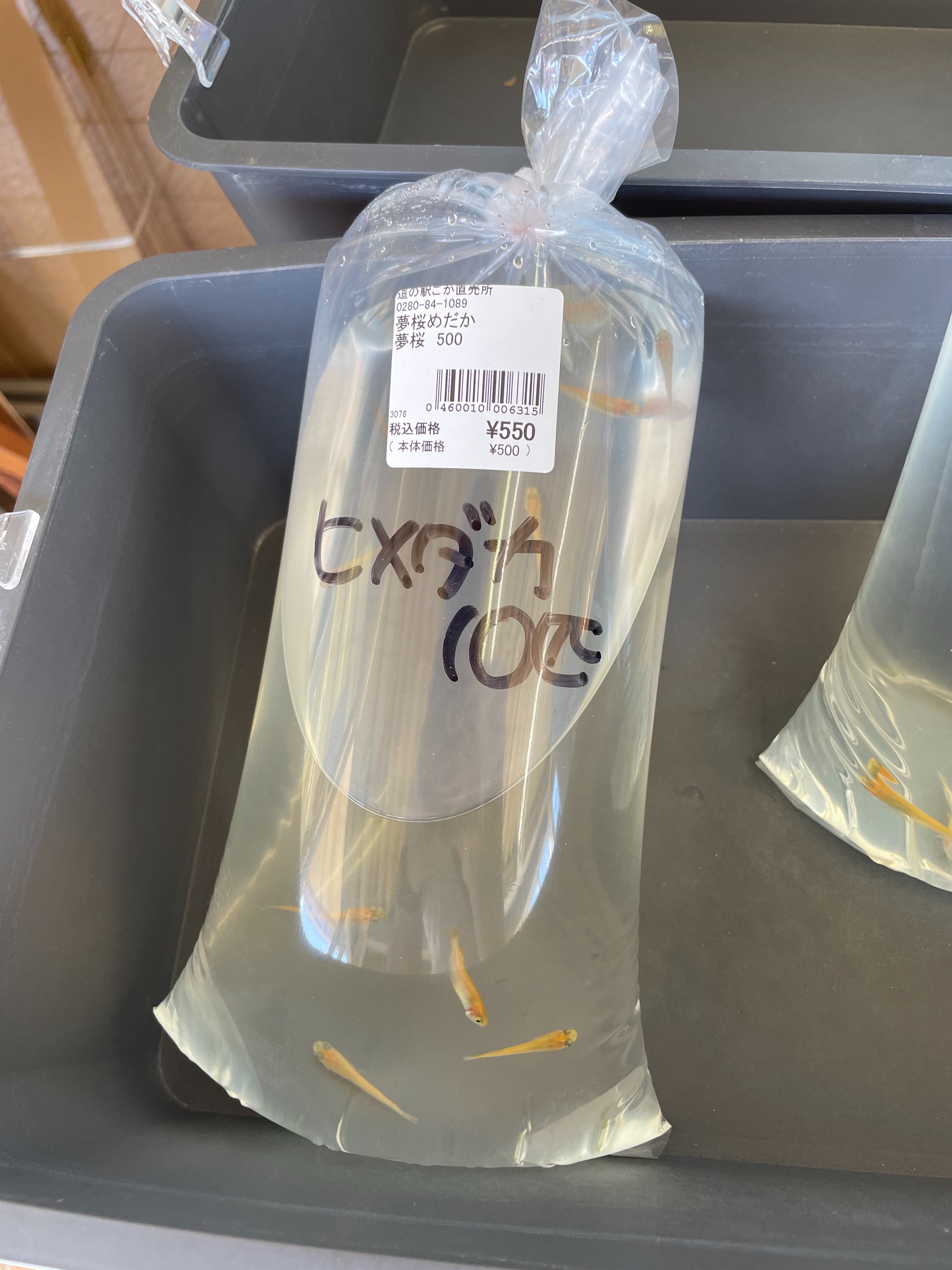 f:id:suzan3756:20230901224336j:image