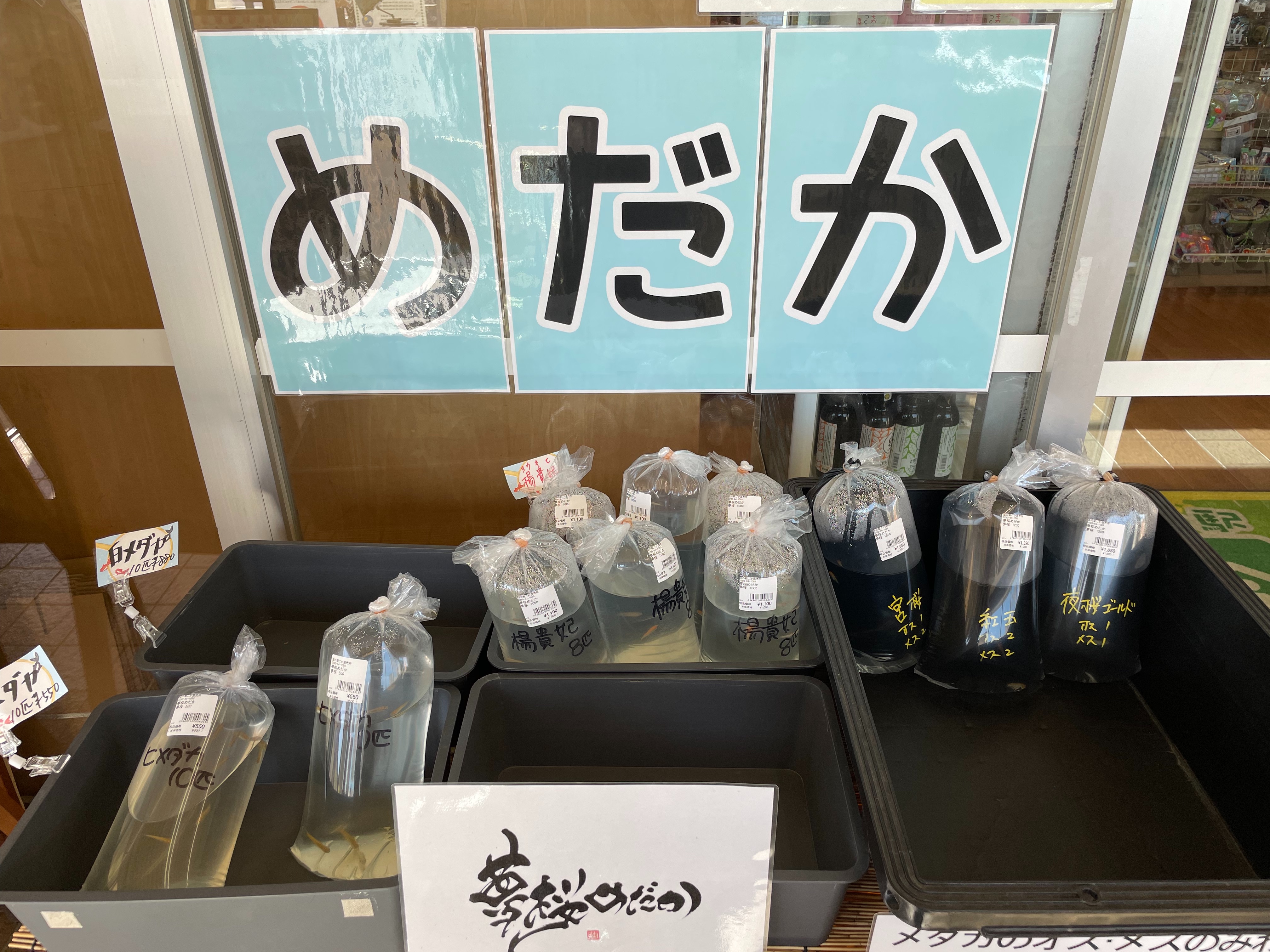 f:id:suzan3756:20230901224344j:image